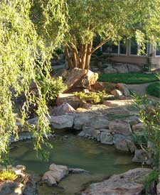 Integrated Health Care Clinic Gardens